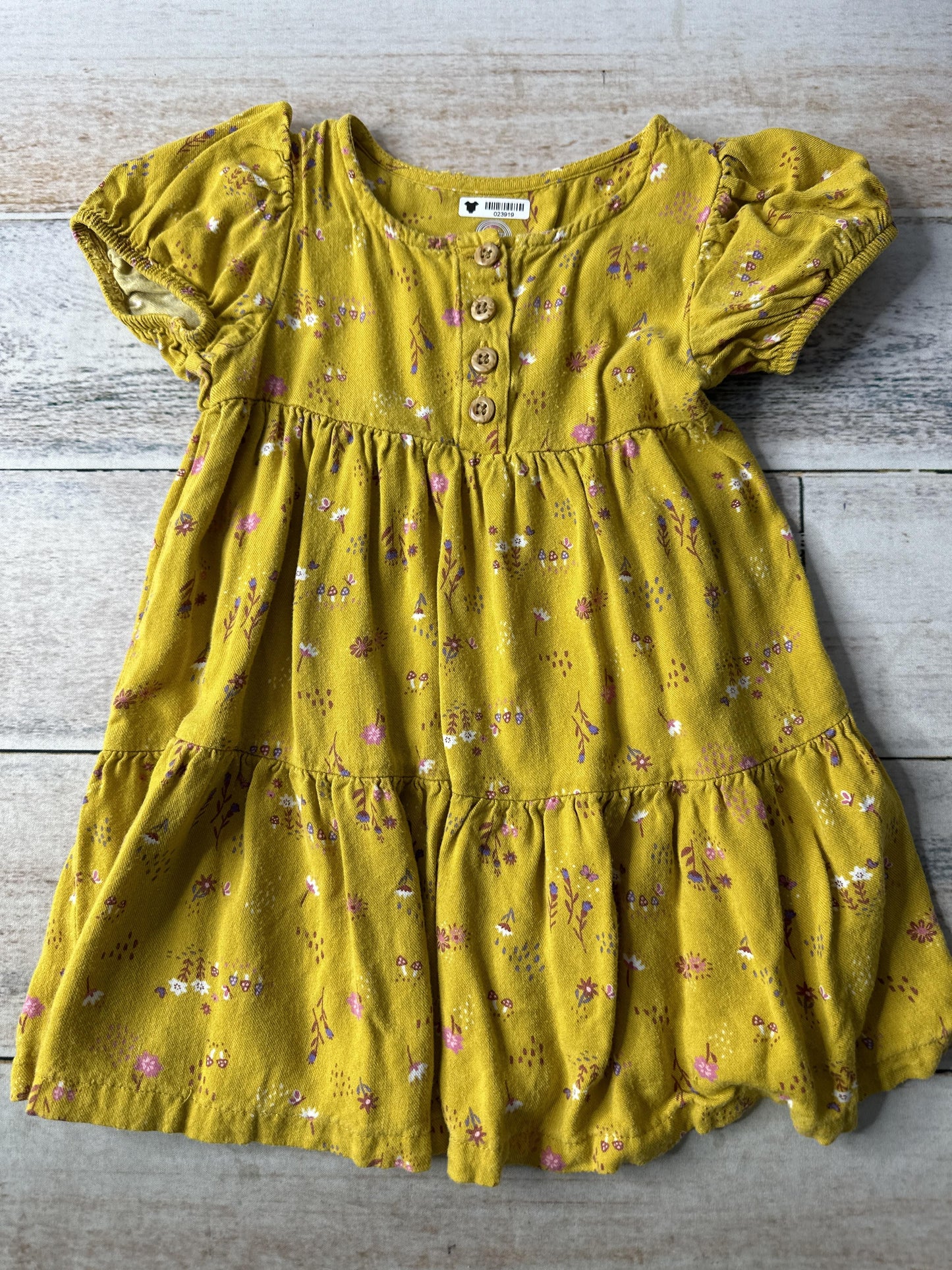 Girls Dress Size: 12-18 months