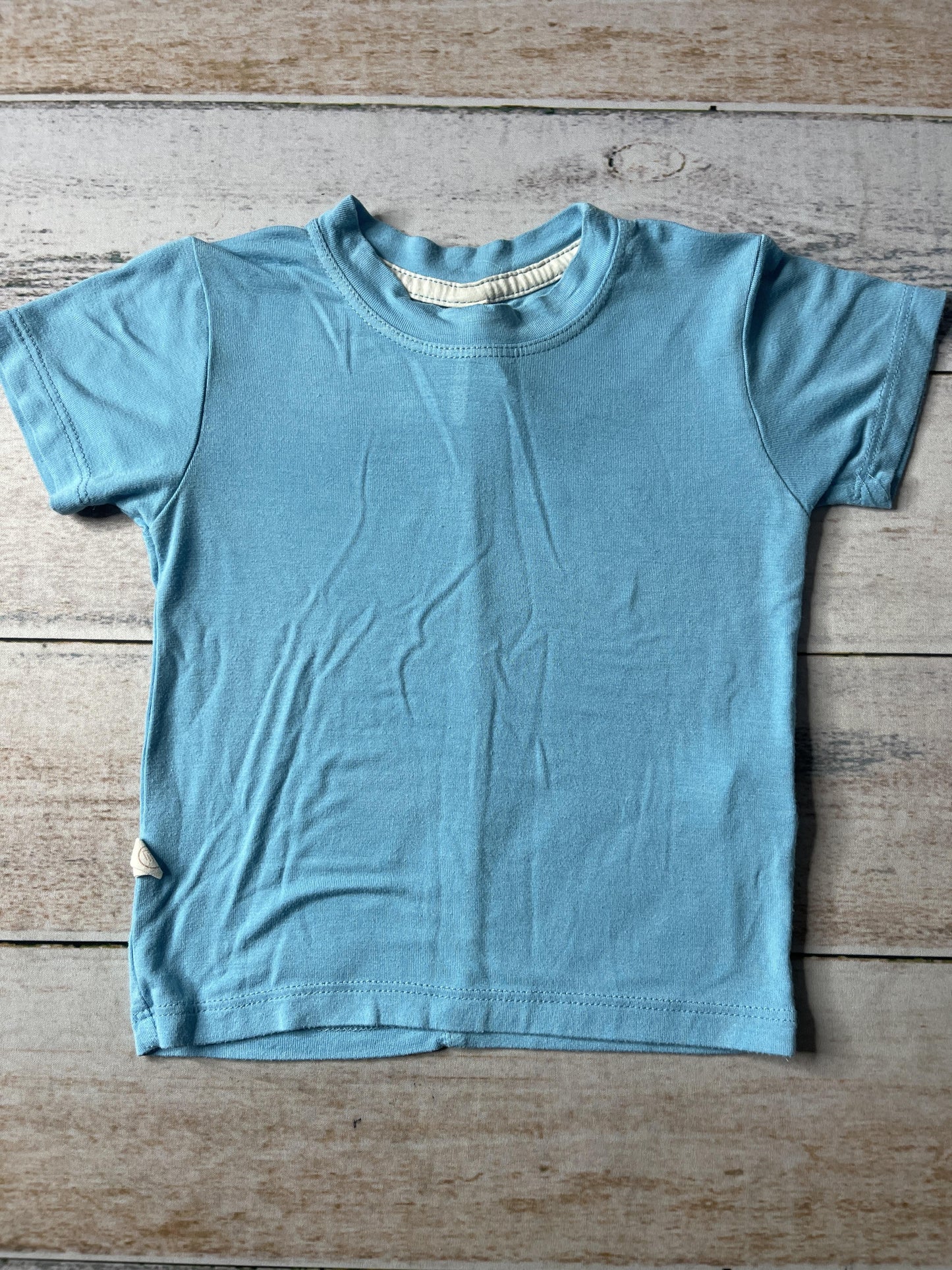 Unisex T-Shirt Size: 12-18 months