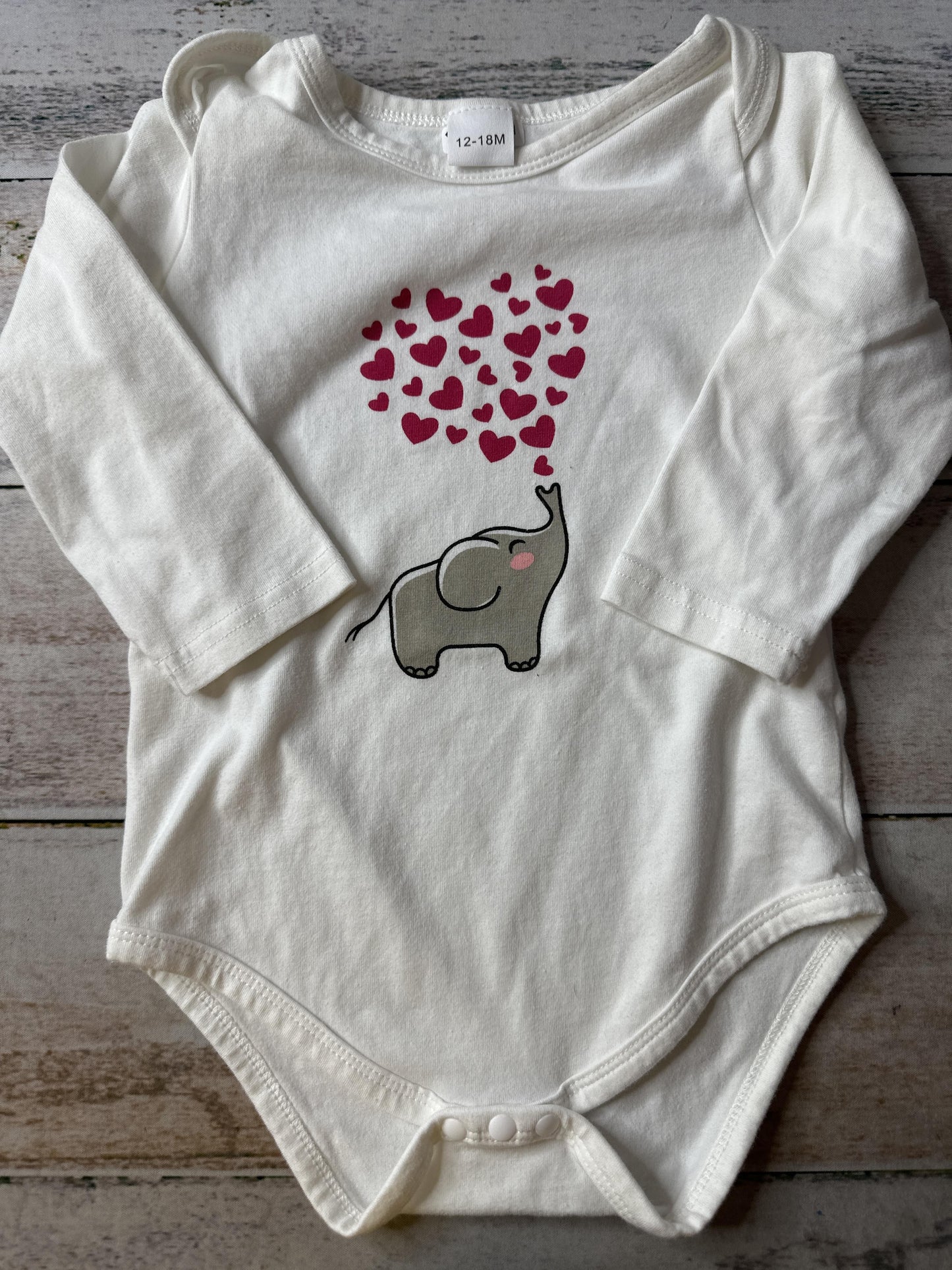 Unisex Onesie Size: 12-18 months