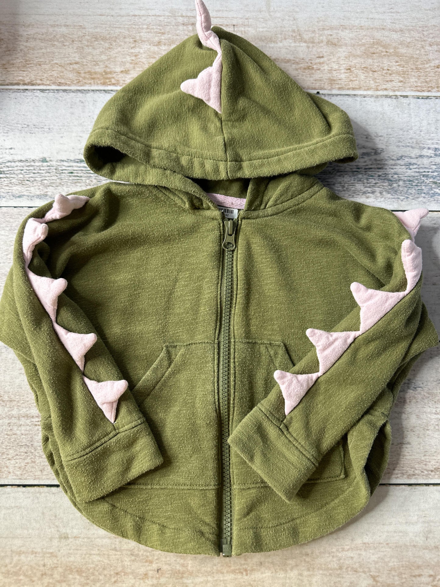 Unisex Hoodie Size: 18 months