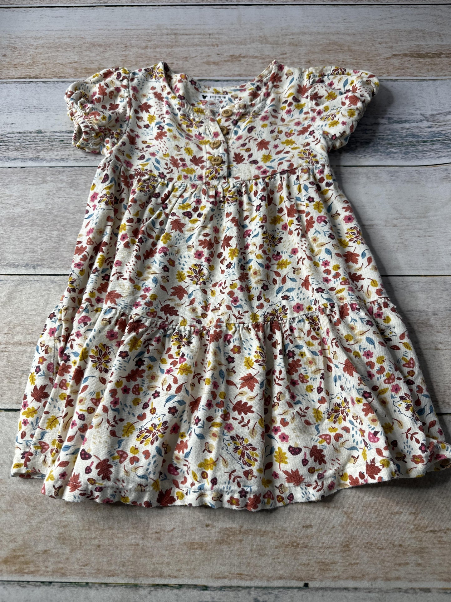 Girls Dress Size: 18 months