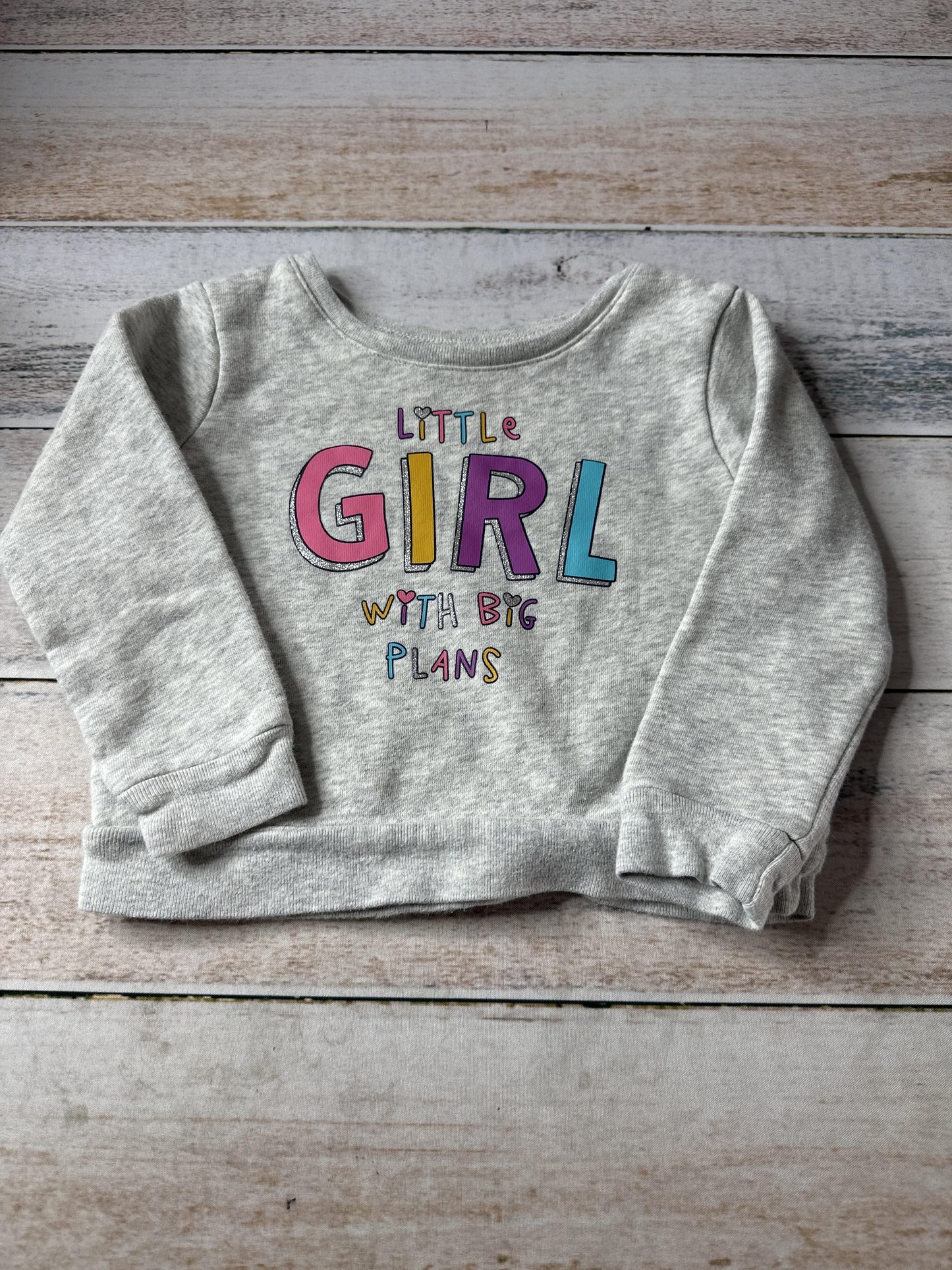 Granimals Unisex Sweatshirt Size: 24 months