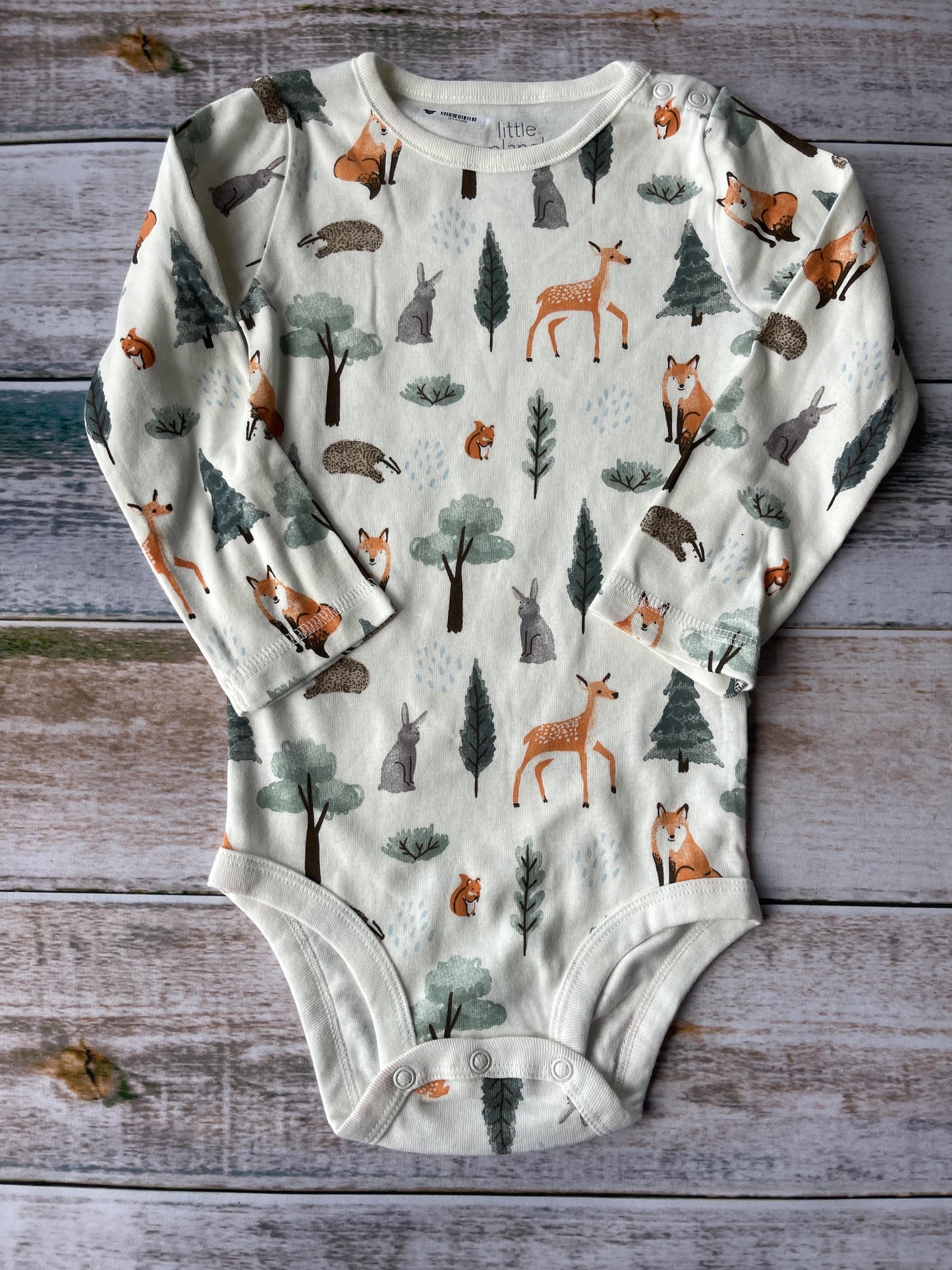 Little Planet Unisex Onesie Size: 24 months