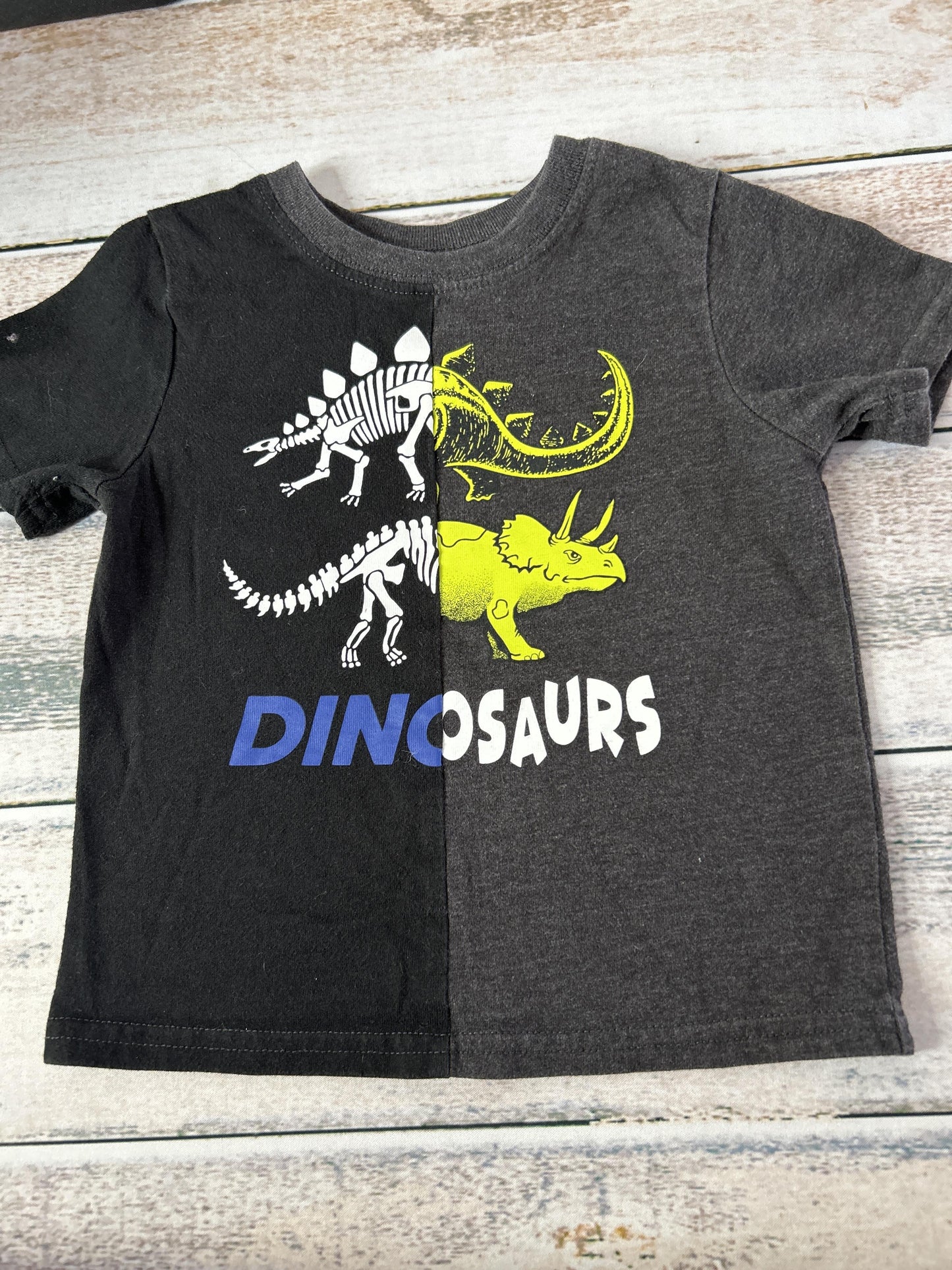 Boys T-Shirt Size: 2T