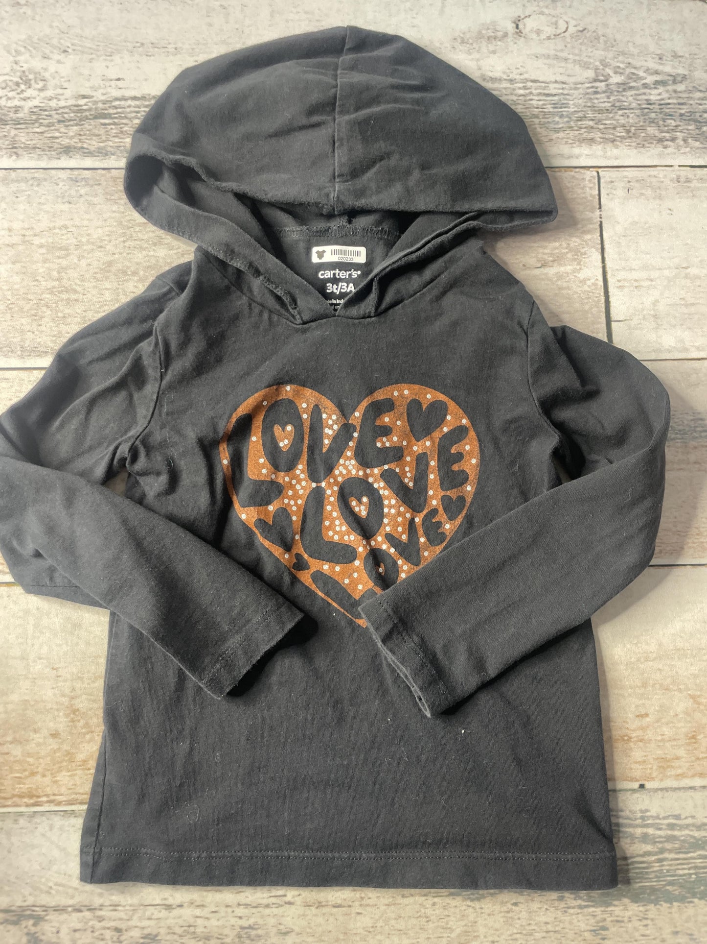 Unisex Hoodie Size: 3T