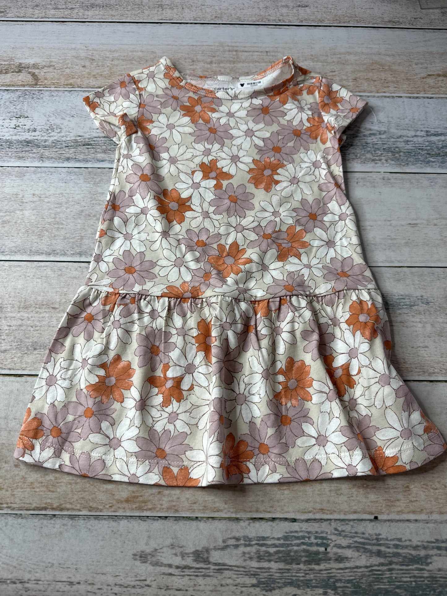 Carters Girls Dress Size: 3T