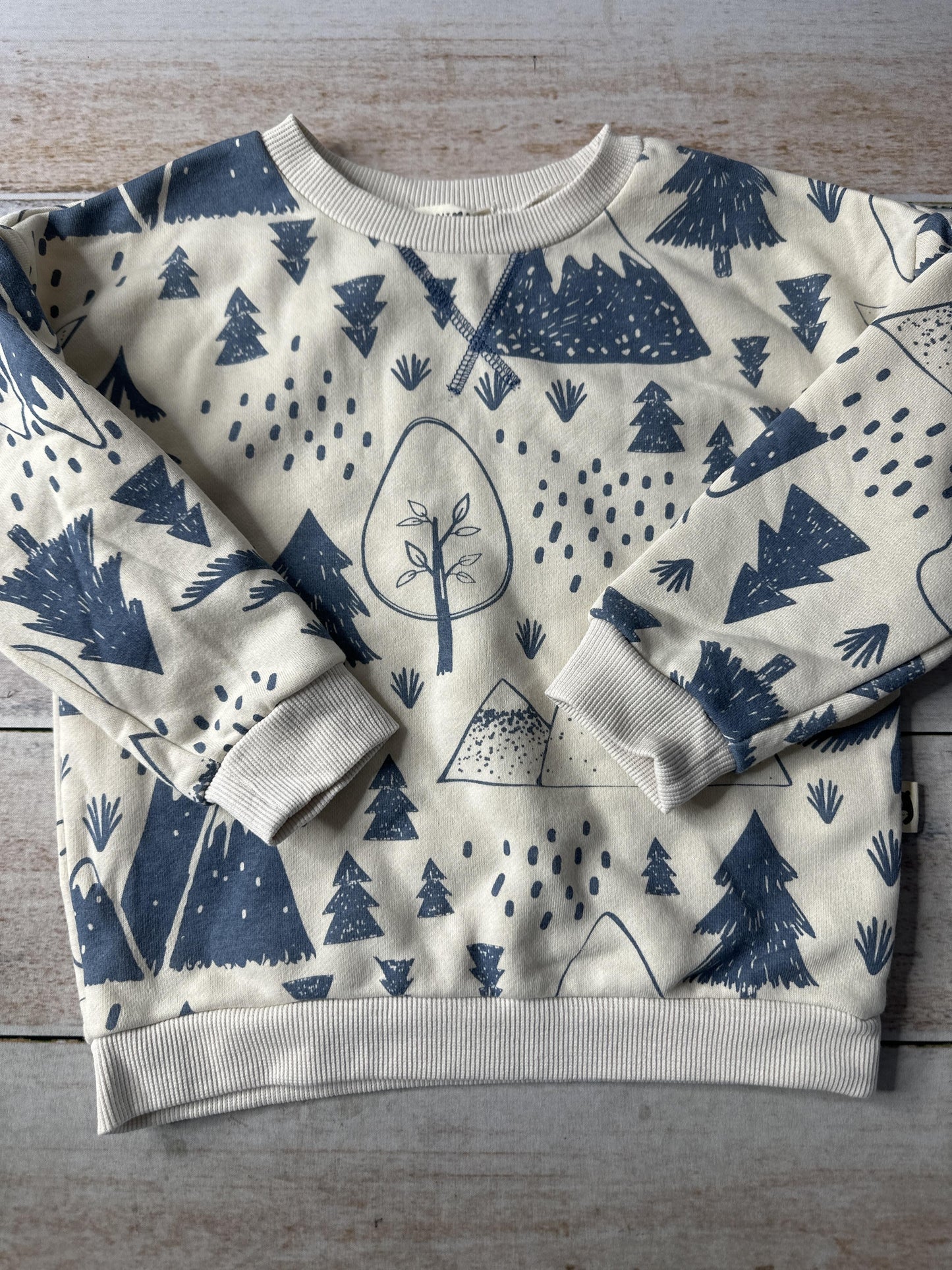 Unisex Sweater Size: 3T