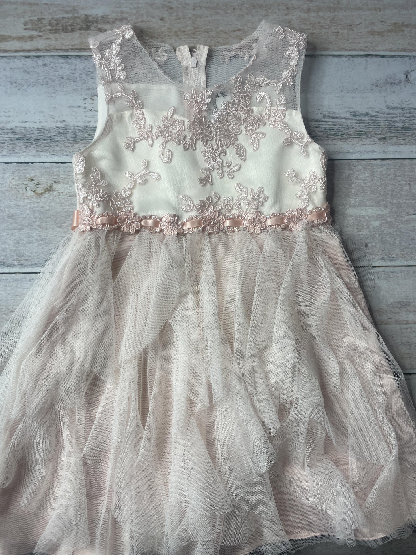 Rare edition Girls Dress Size: 4T