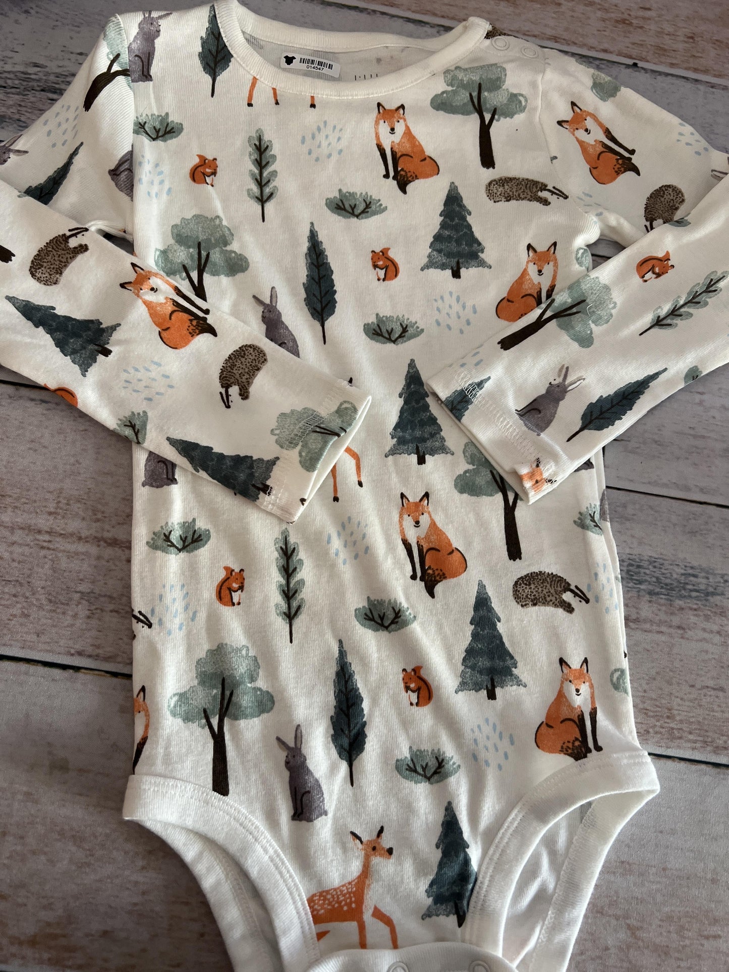 Little Planet Boys animals Onesie Size: 24 months animals