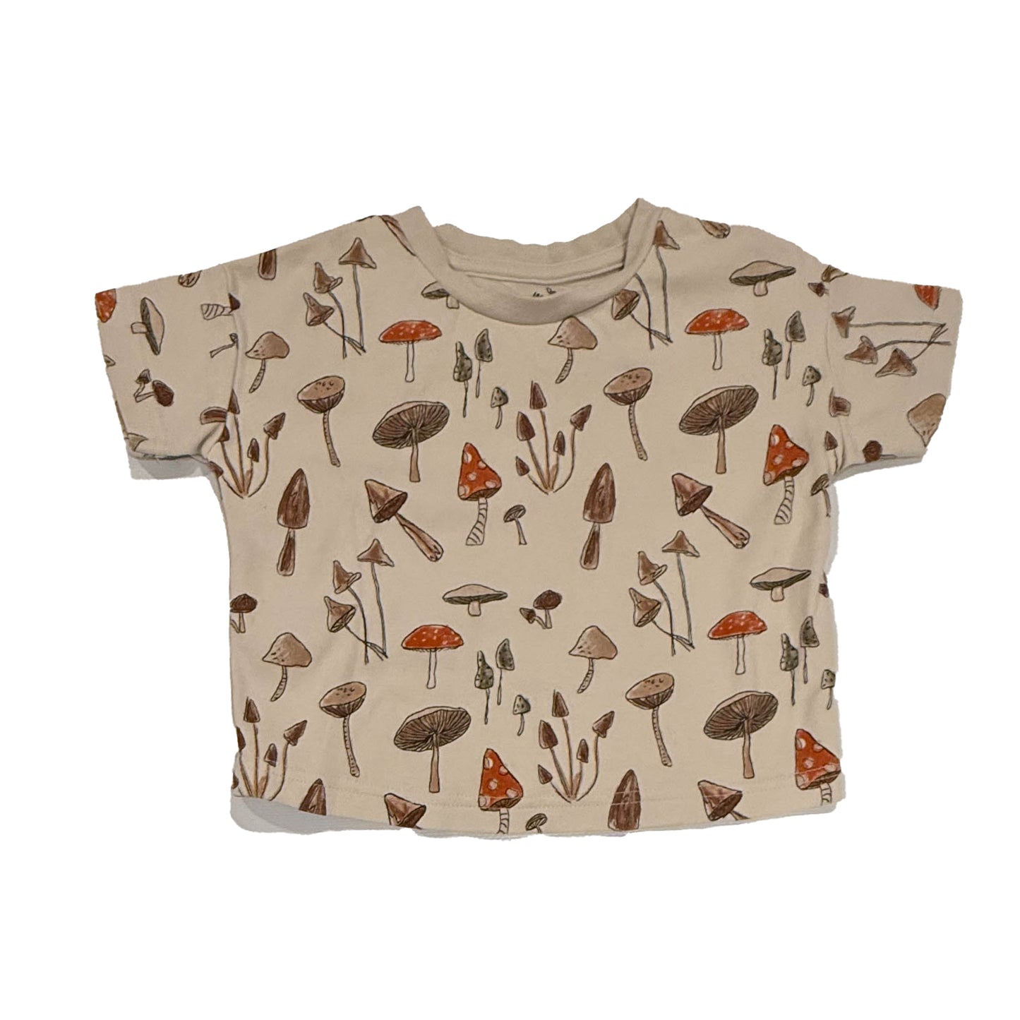 Goumi Boys Beige Mushrooms T-Shirt Size: 6-12 Months Beige Mushrooms