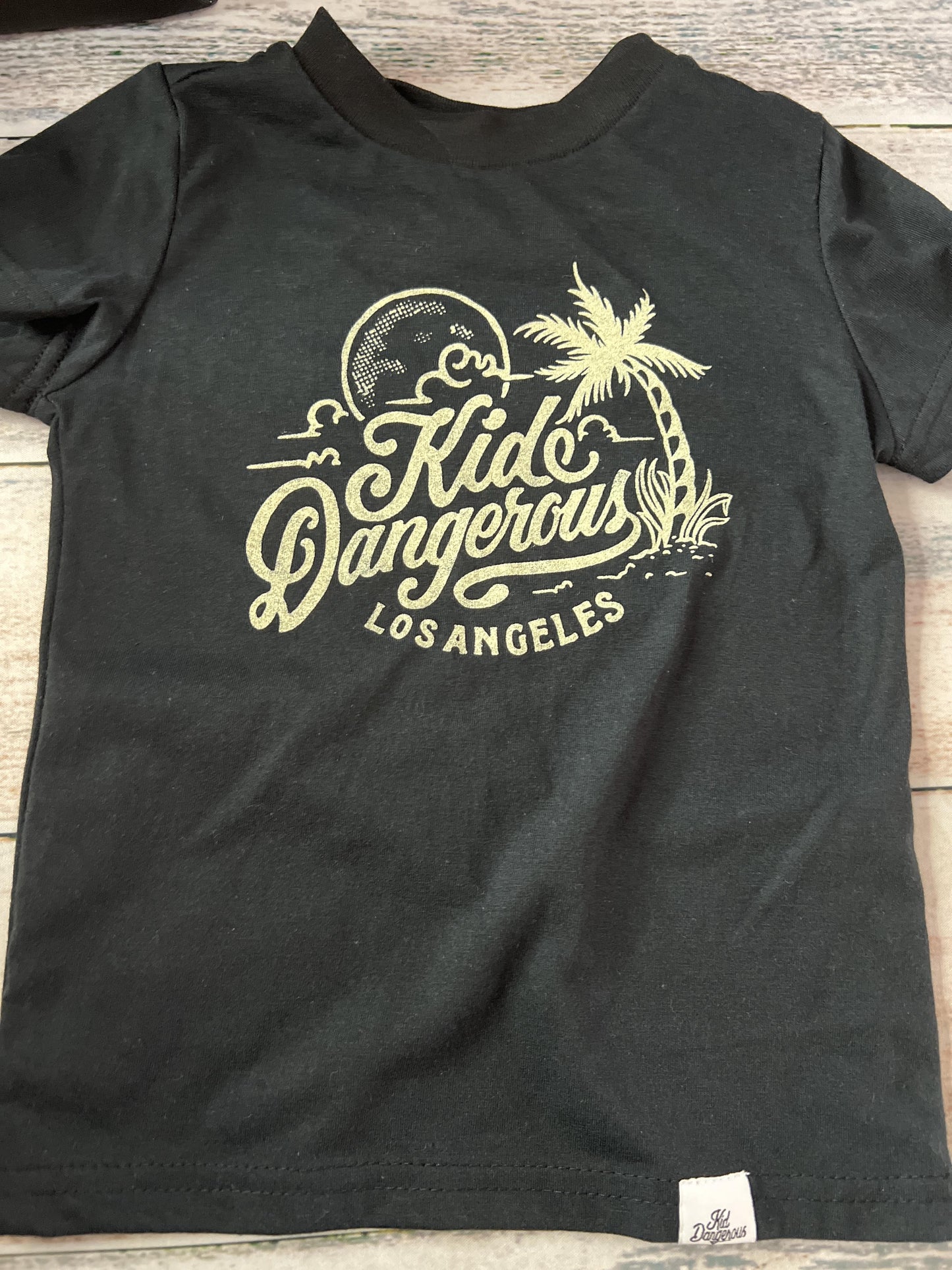 Kid Dangerous Boys Black | Graphic T-Shirt Size: 3T Black | Graphic