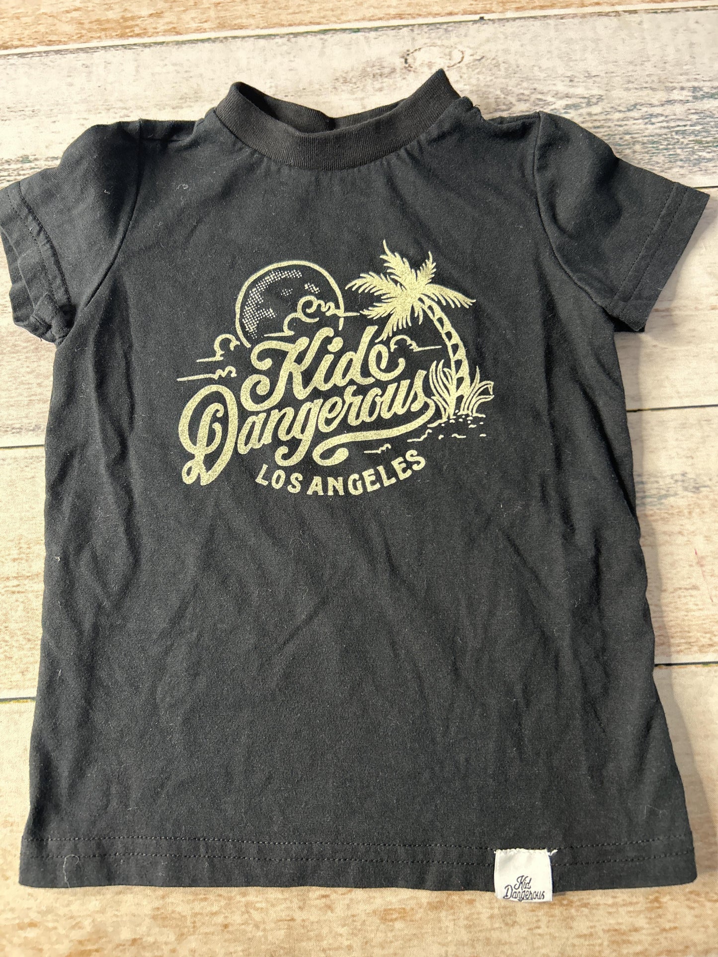 Kid Dangerous Unisex Black Shirt Size: 3T Black