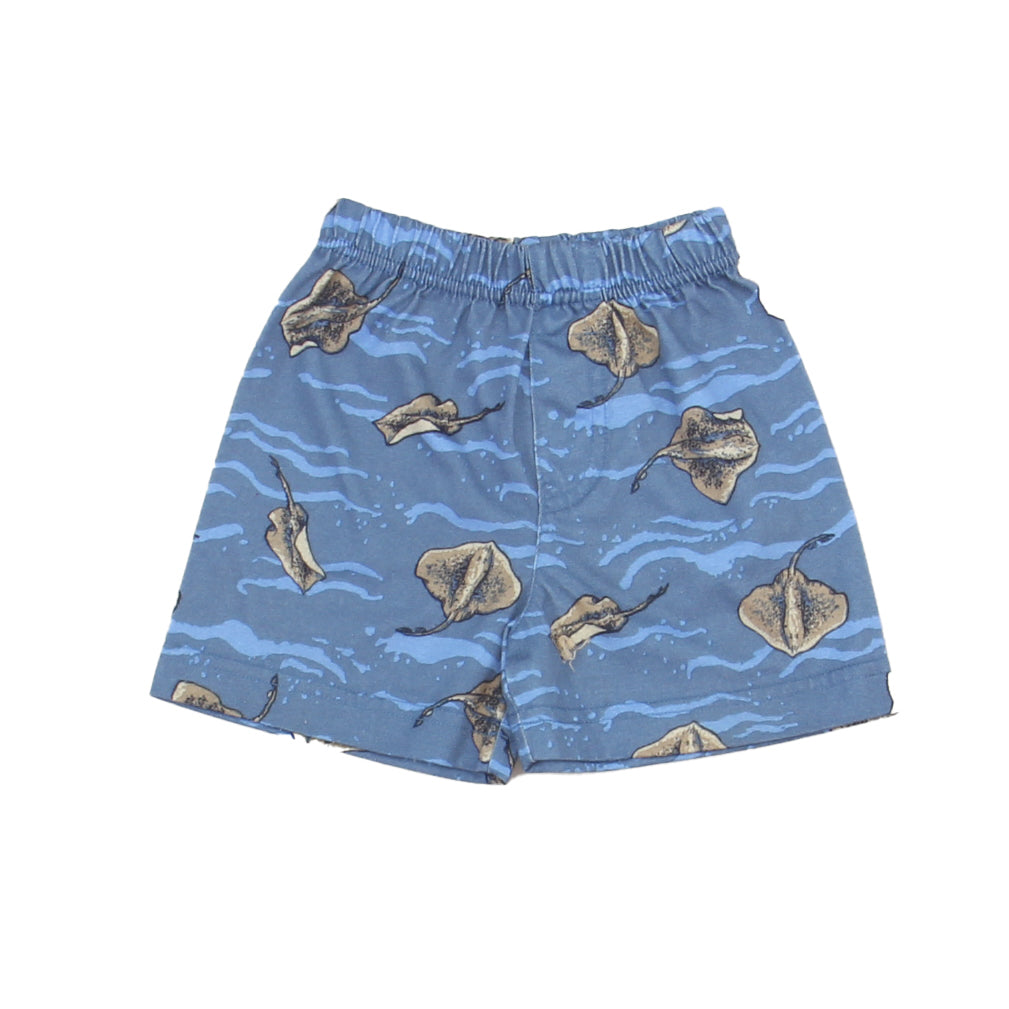 Nordstrom Boys Blue | Brown Shorts Size: 6 Months Blue | Brown