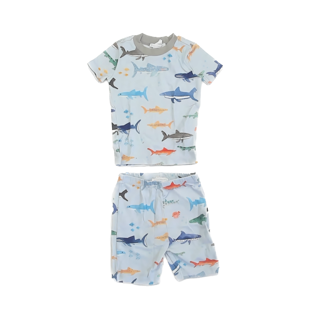 Pottery Barn Kids Boys Blue Fish 2-piece Pajamas Size: 3T Blue Fish