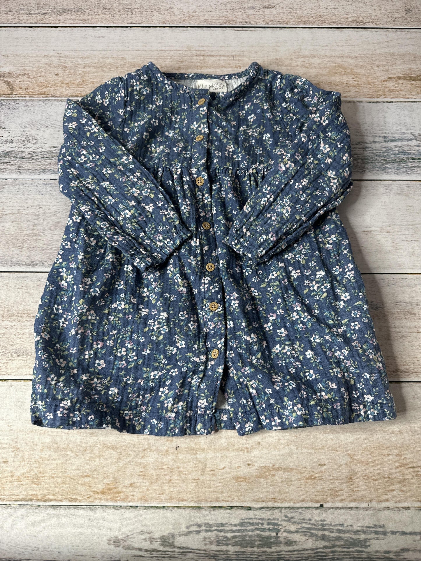 Little Planet Girls Blue | Floral Dress Size: 24 months Blue | Floral