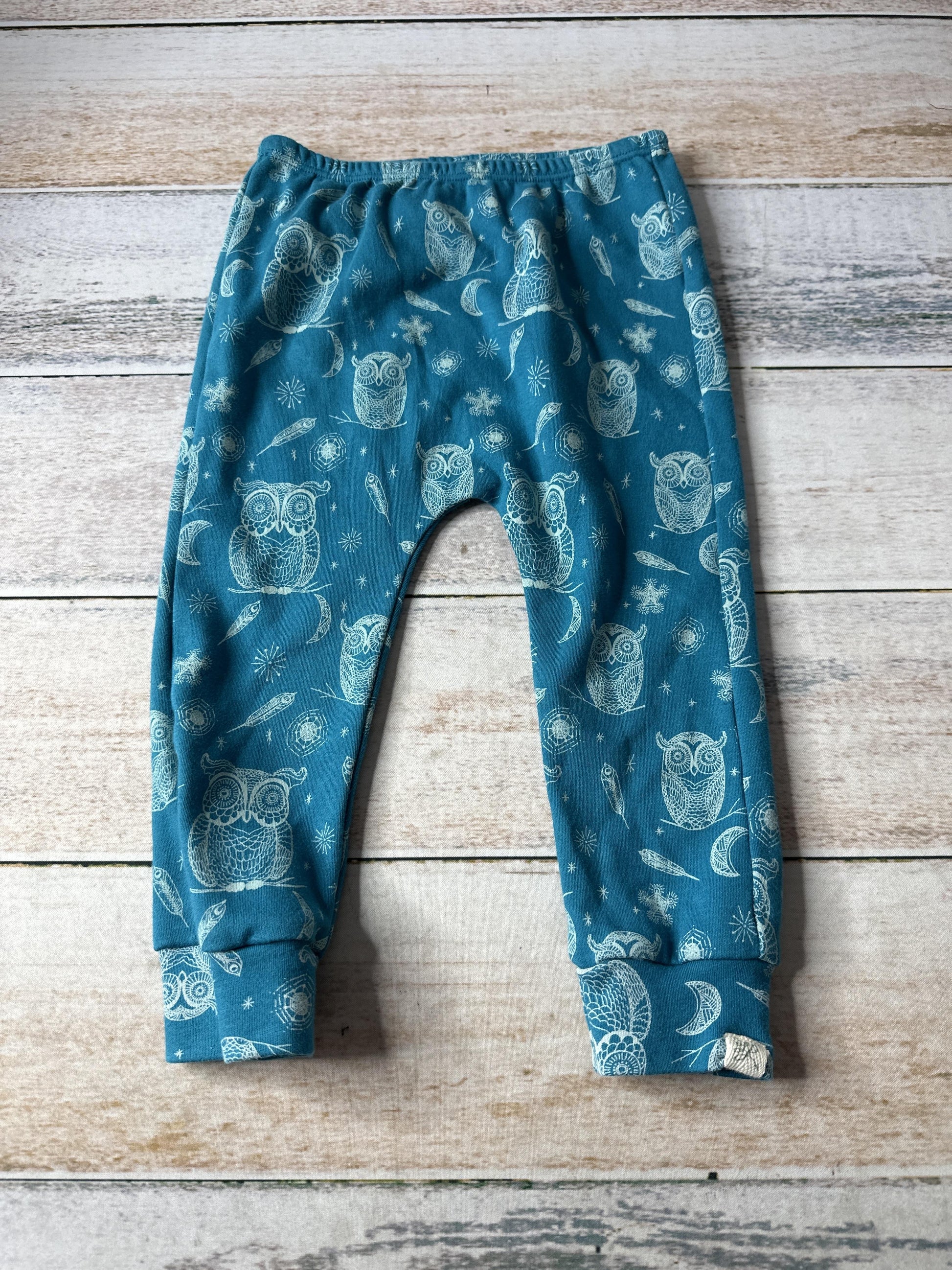 Little Lentil Unisex Blue | Owls Pants Size: 18-24 months Blue | Owls