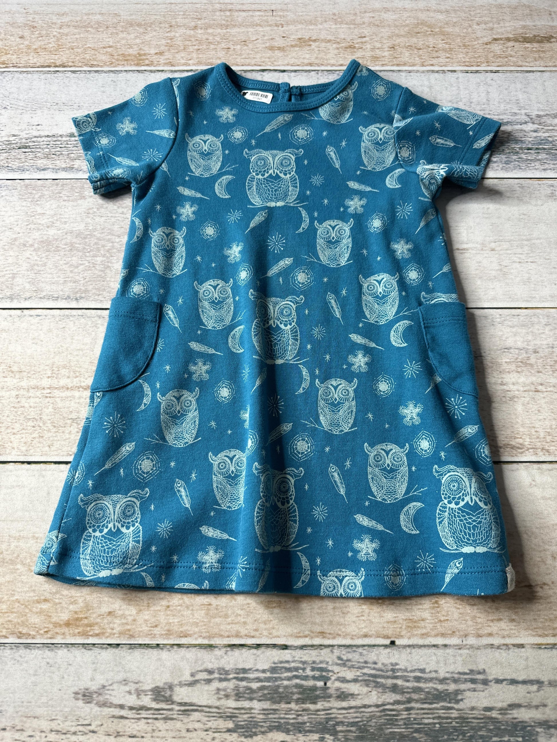 Little Lentil Girls Blue | Owls Dress Size: 18-24 months Blue | Owls
