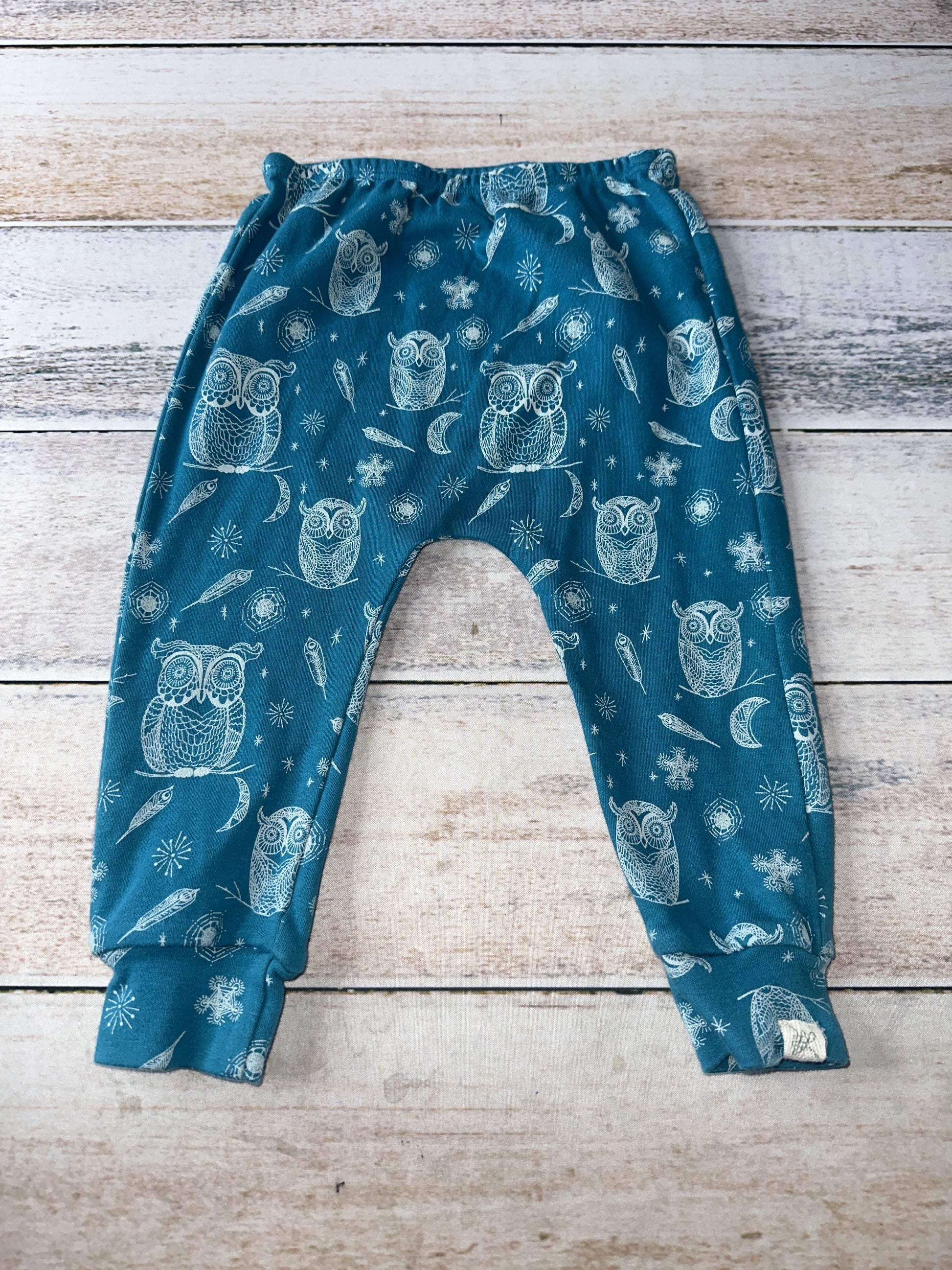 Little Lentil Unisex Blue | Owls Pants Size: 12-18 months Blue | Owls
