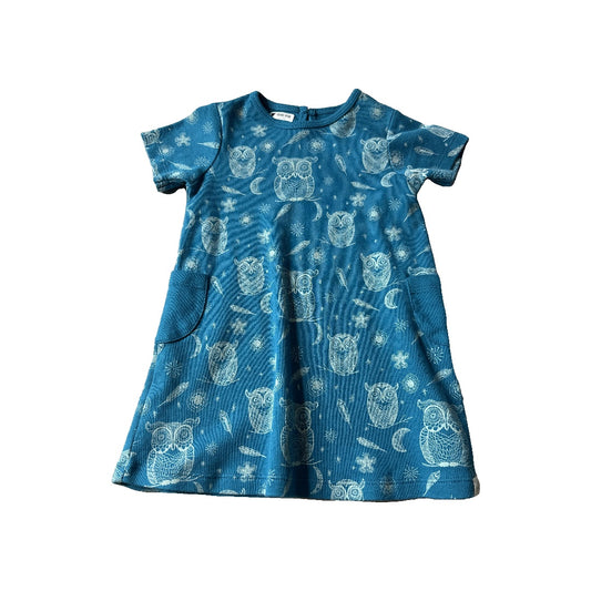 Little Lentil Girls Blue | Owls Dress Size: 18-24 months Blue | Owls