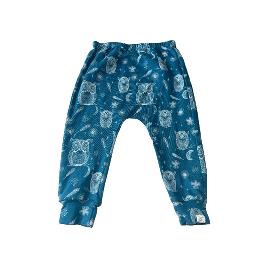 Little Lentil Unisex Blue | Owls Pants Size: 12-18 months Blue | Owls