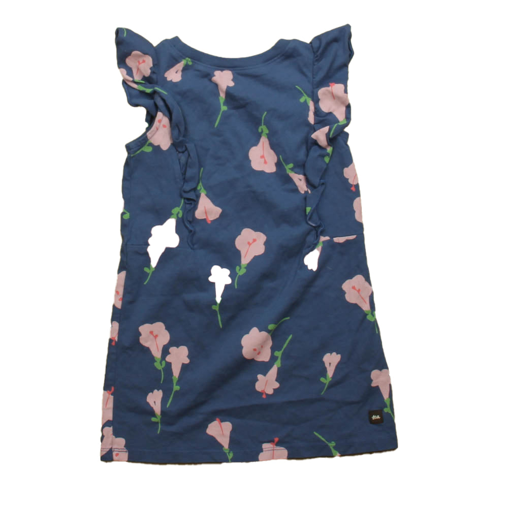 Tea Girls Blue | Pink Floral Dress Size: 3T Blue | Pink Floral