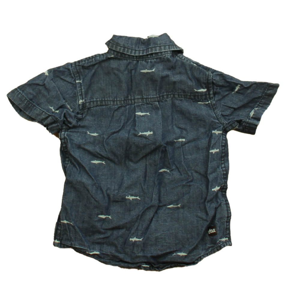 Tea Boys Blue Shark Button Down Short Sleeve Size: 2T Blue Shark