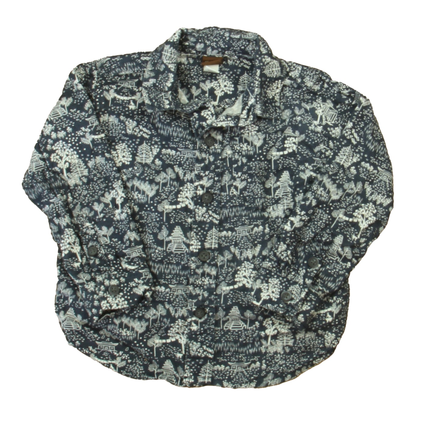 Tea Boys Blue | White Button Down Long Sleeve Size: 2T Blue | White