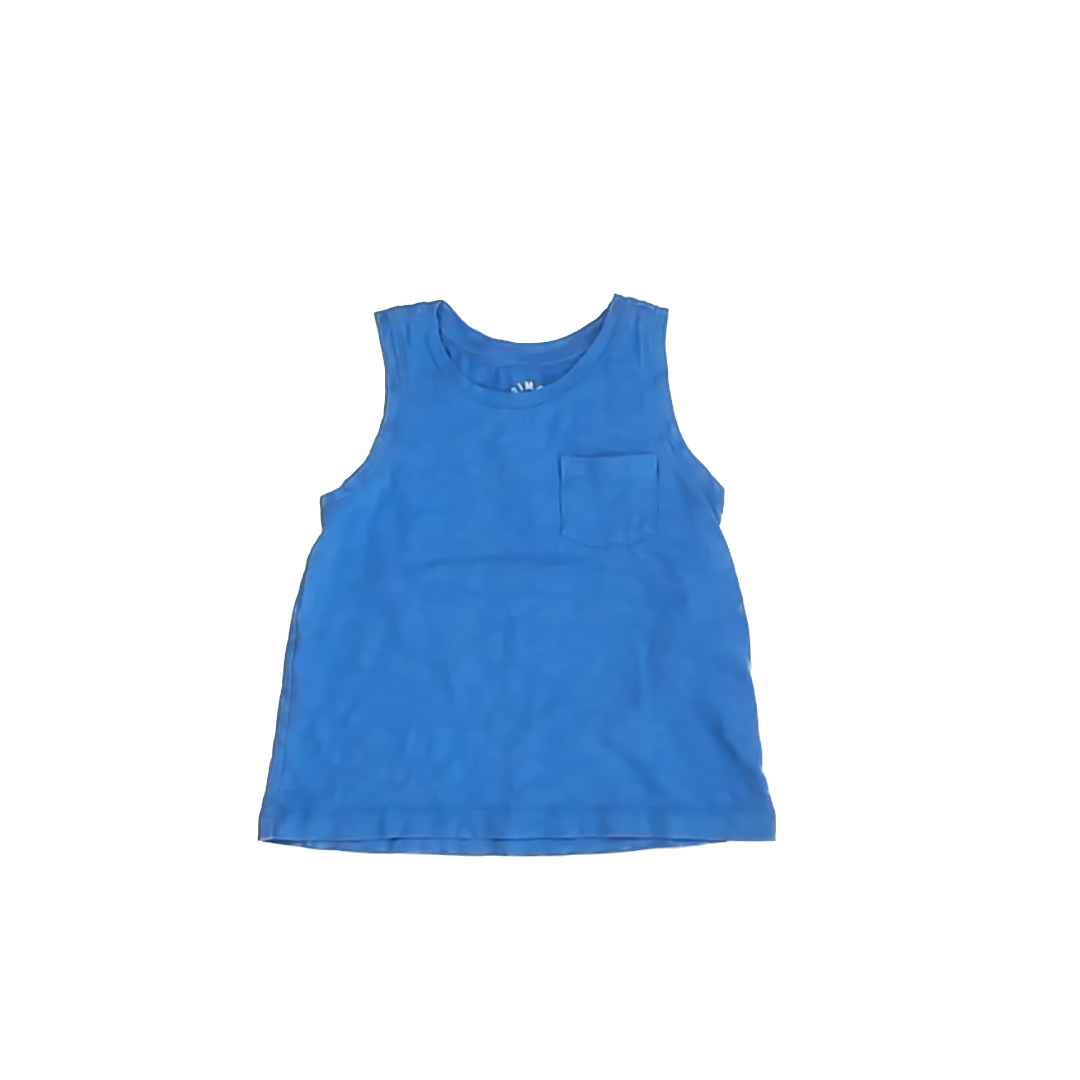 Primary Boys Blue Tank Top Size: 2T Blue