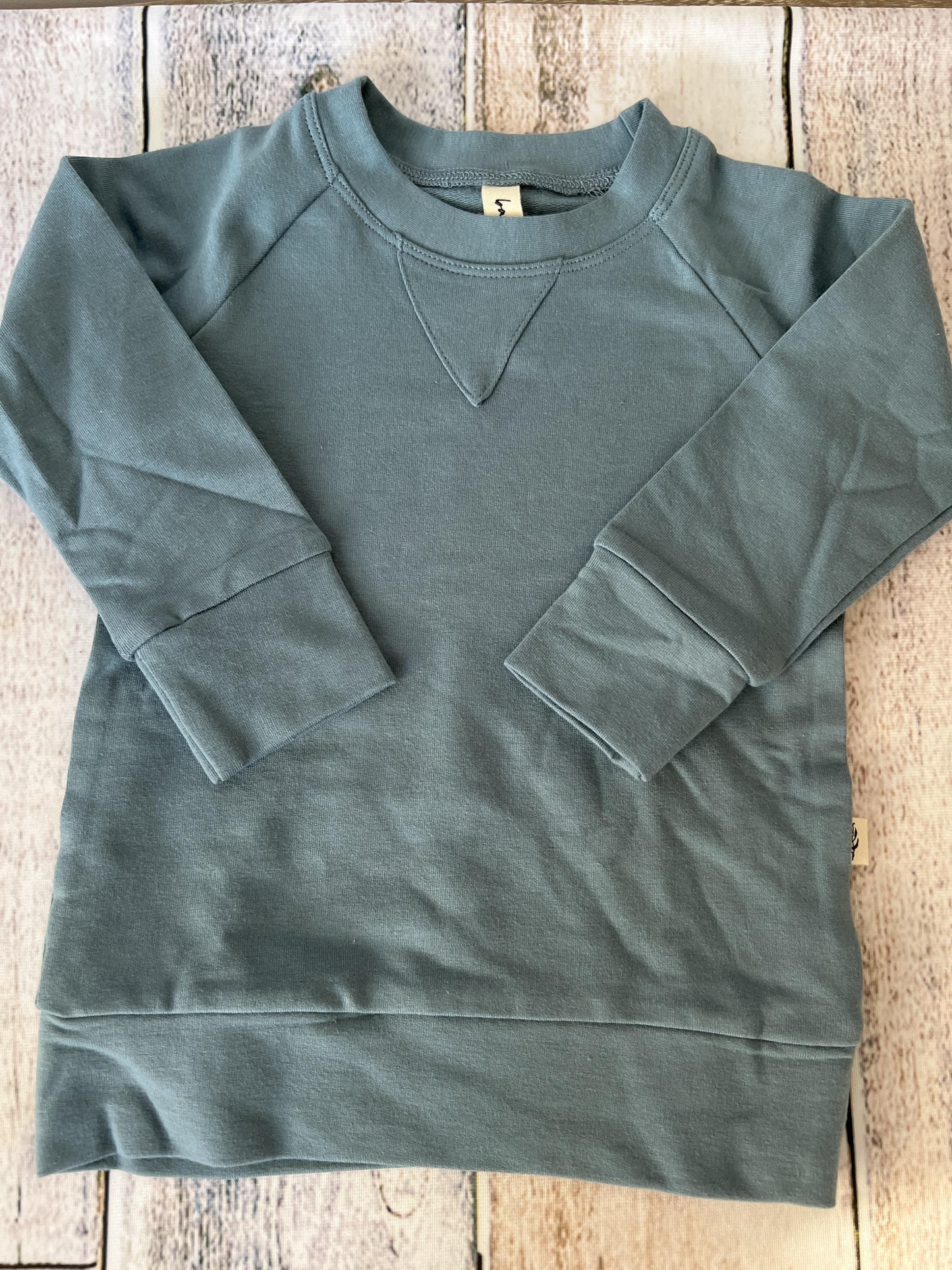 BabySprouts co Boys Blue Sweatshirt Size: 12-18 months Blue