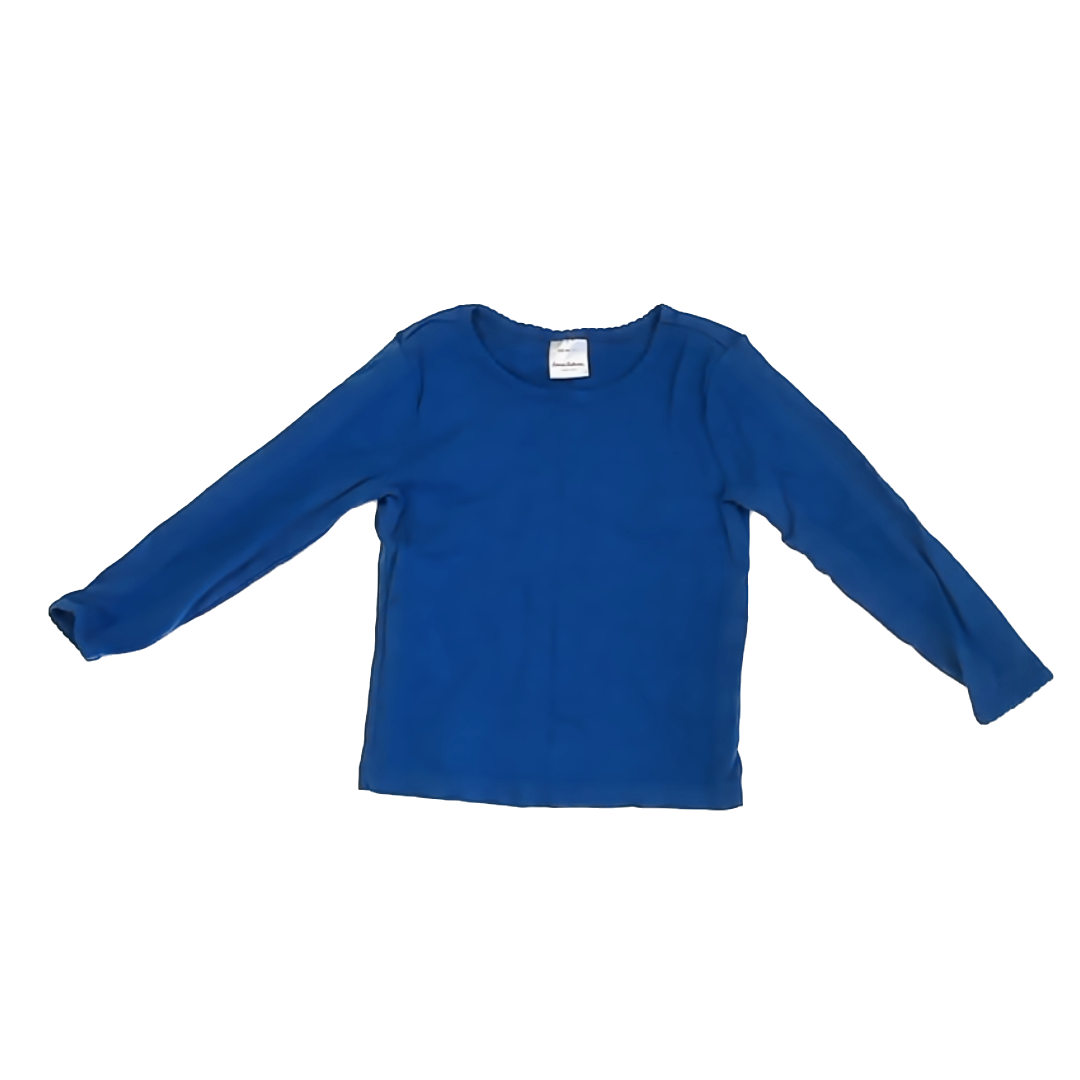 Hanna Andersson Girls Blue Long Sleeve T-Shirt Size: 4T Blue