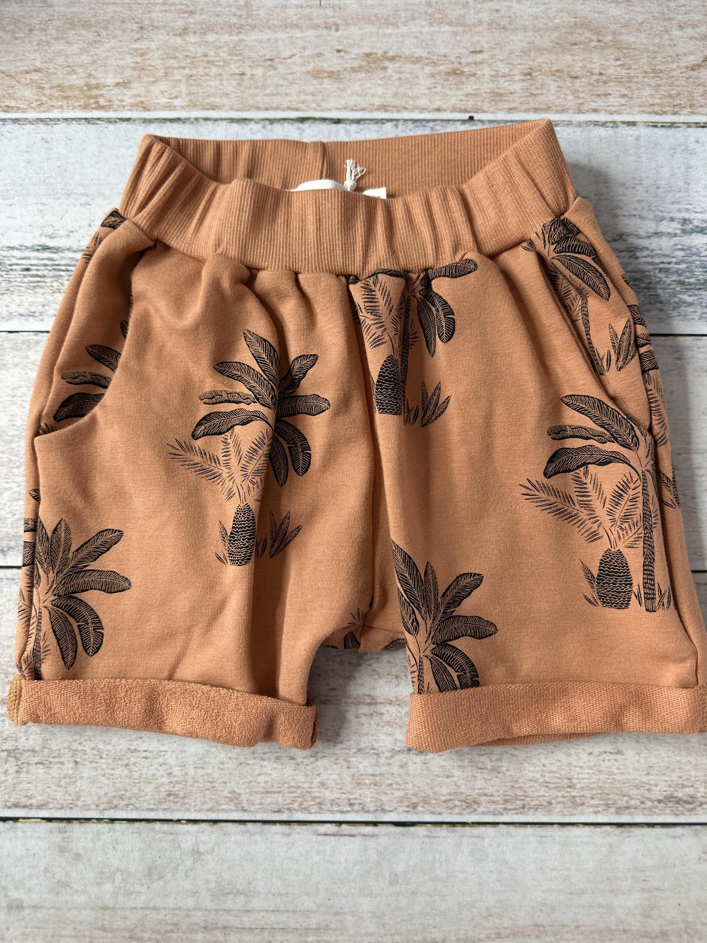 Dear Earth Unisex Brown Shorts Size: 4T Brown