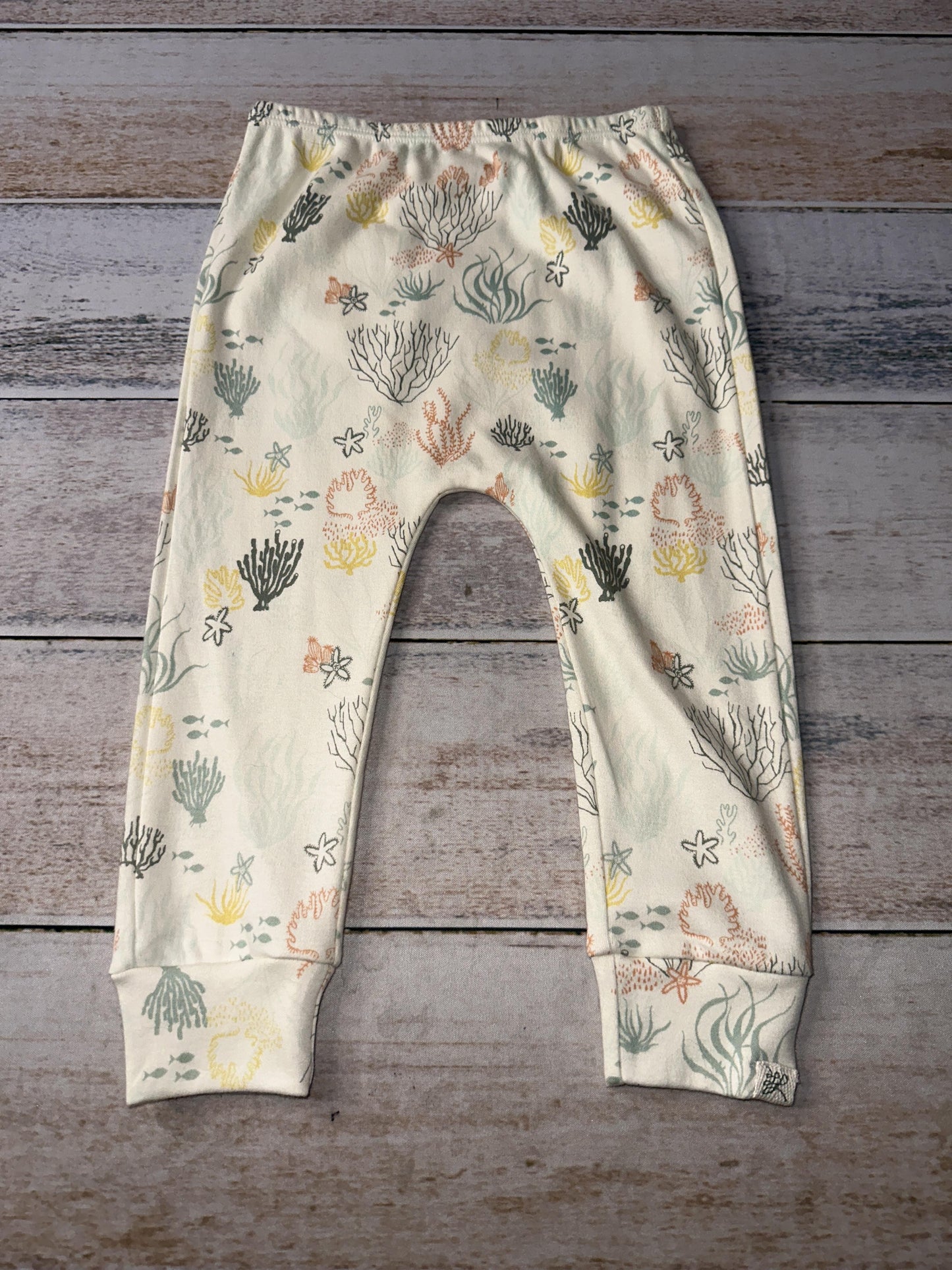 Little Lentil Unisex cream | orange | Army Green Pants Size: 18-24 months cream | orange | Army Green