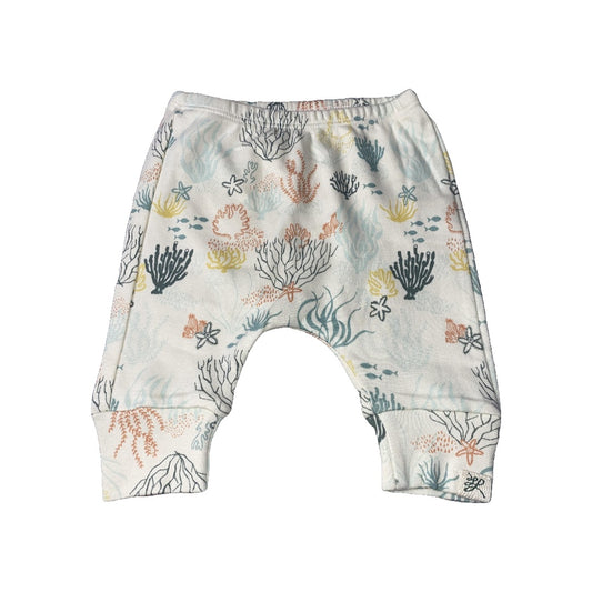 Little Lentil Unisex cream | orange | Army Green Pants Size: Newborn cream | orange | Army Green