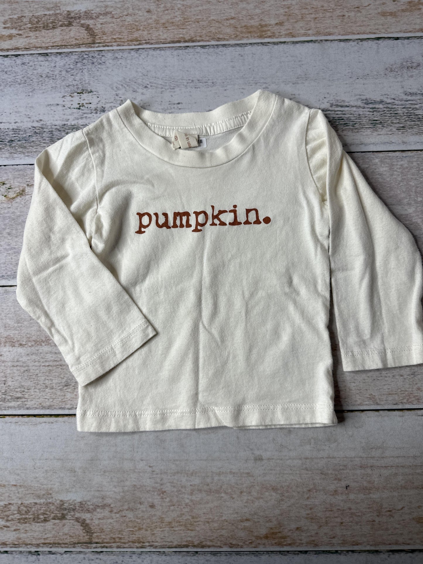 Tenth + Pine Unisex cream | Text Long Sleeve Shirt Size: 12-18 months cream | Text