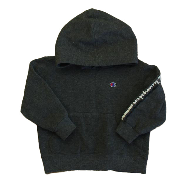Champion Boys Dark Gray Hoodie Size: 3T Dark Gray