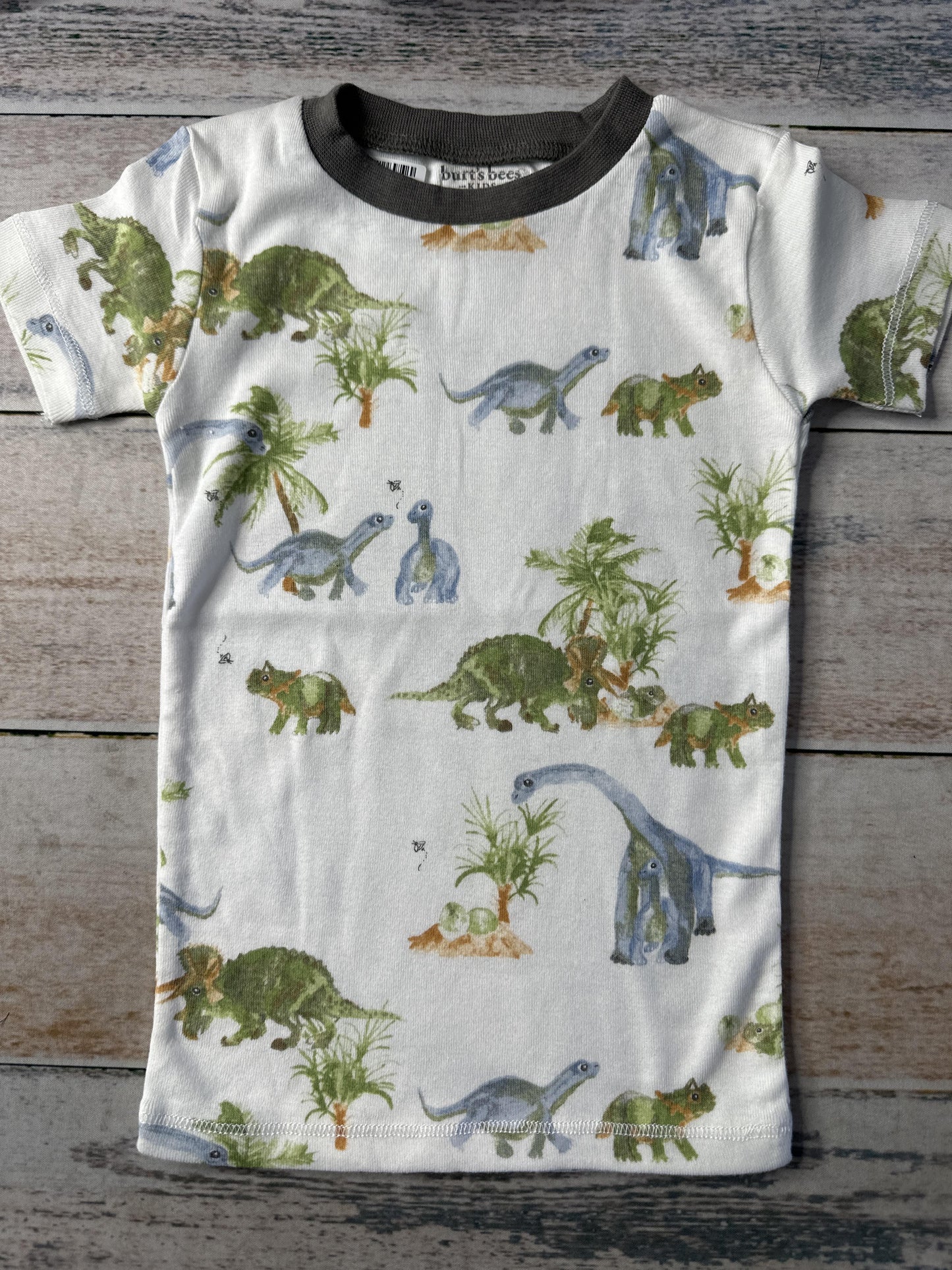 Burt's Bees Boys Dinosaur | White Pajamas Size: 3T Dinosaur | White