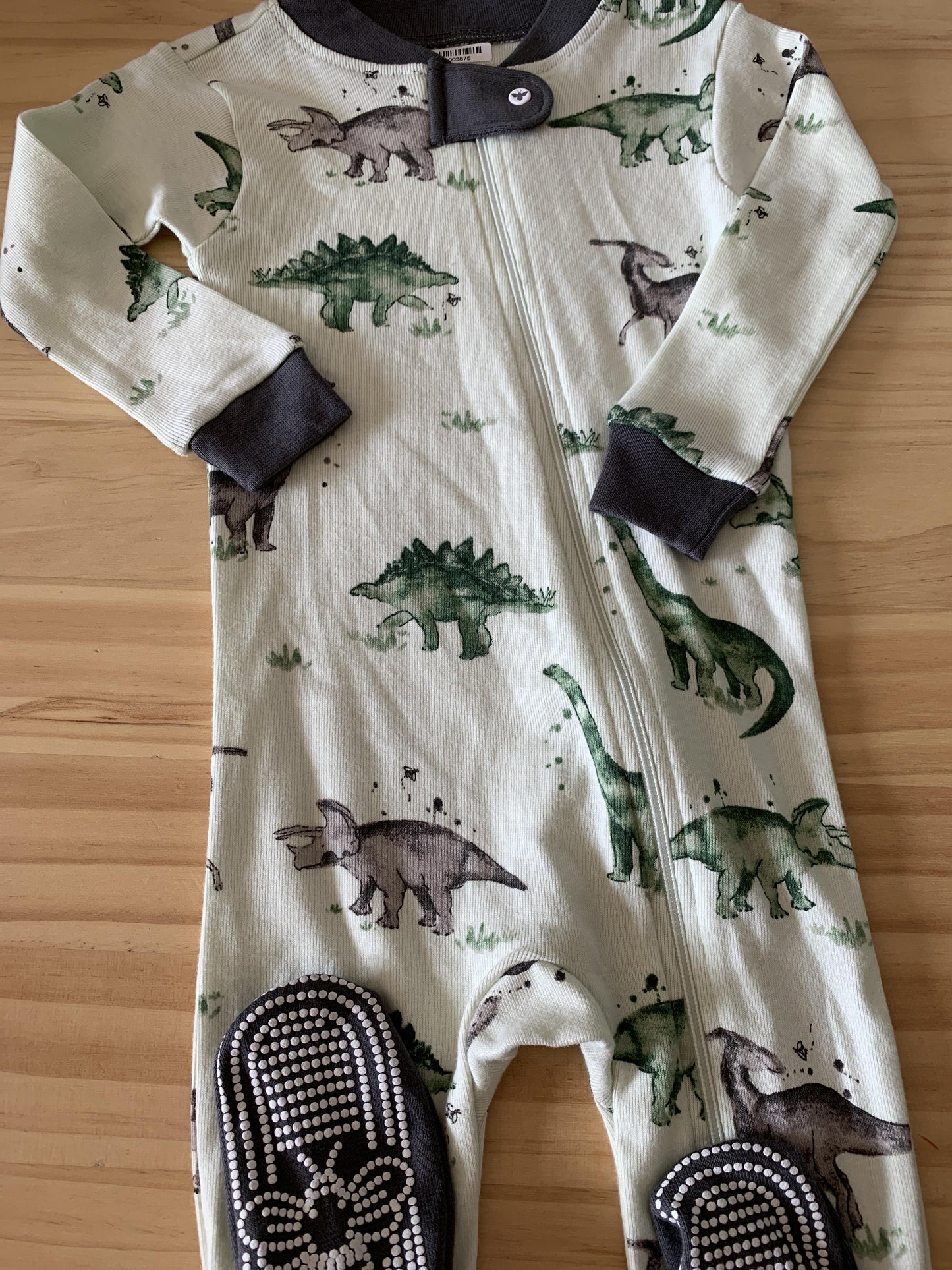 Burt's Bees Boys Forest Green | Mint | Dinosaur Pajamas Size: 6-9 months Forest Green | Mint | Dinosaur