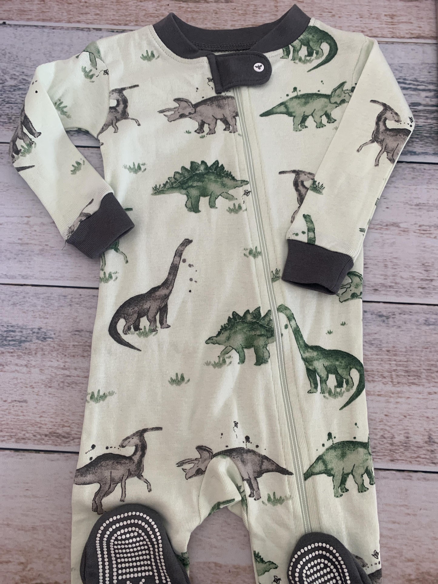 Burt's Bees Boys Forest Green | Mint | Dinosaur Pajamas Size: 3-6 months Forest Green | Mint | Dinosaur