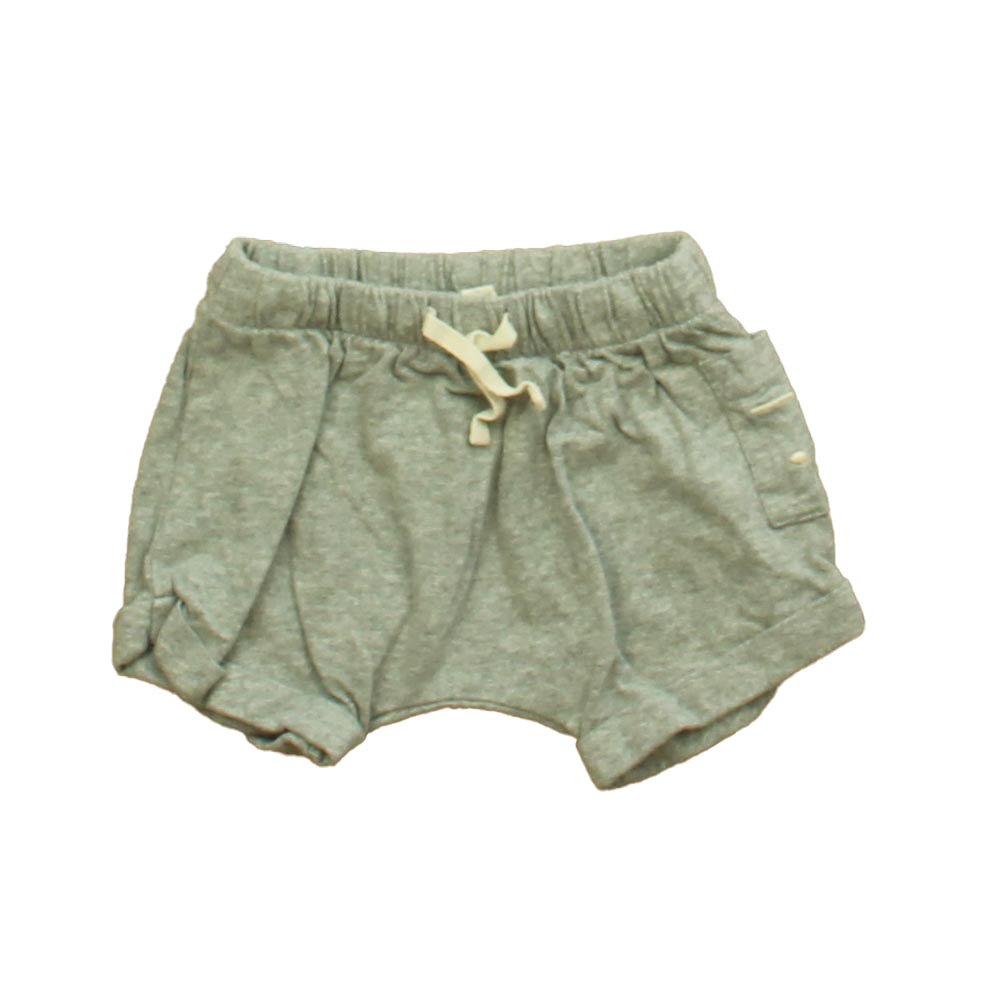 Gray Label Boys Gray Shorts Size: 3-6 Months Gray