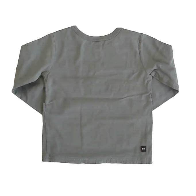 Tea Collection Boys Green Beaver Long Sleeve T-Shirt Size: 2T Green Beaver