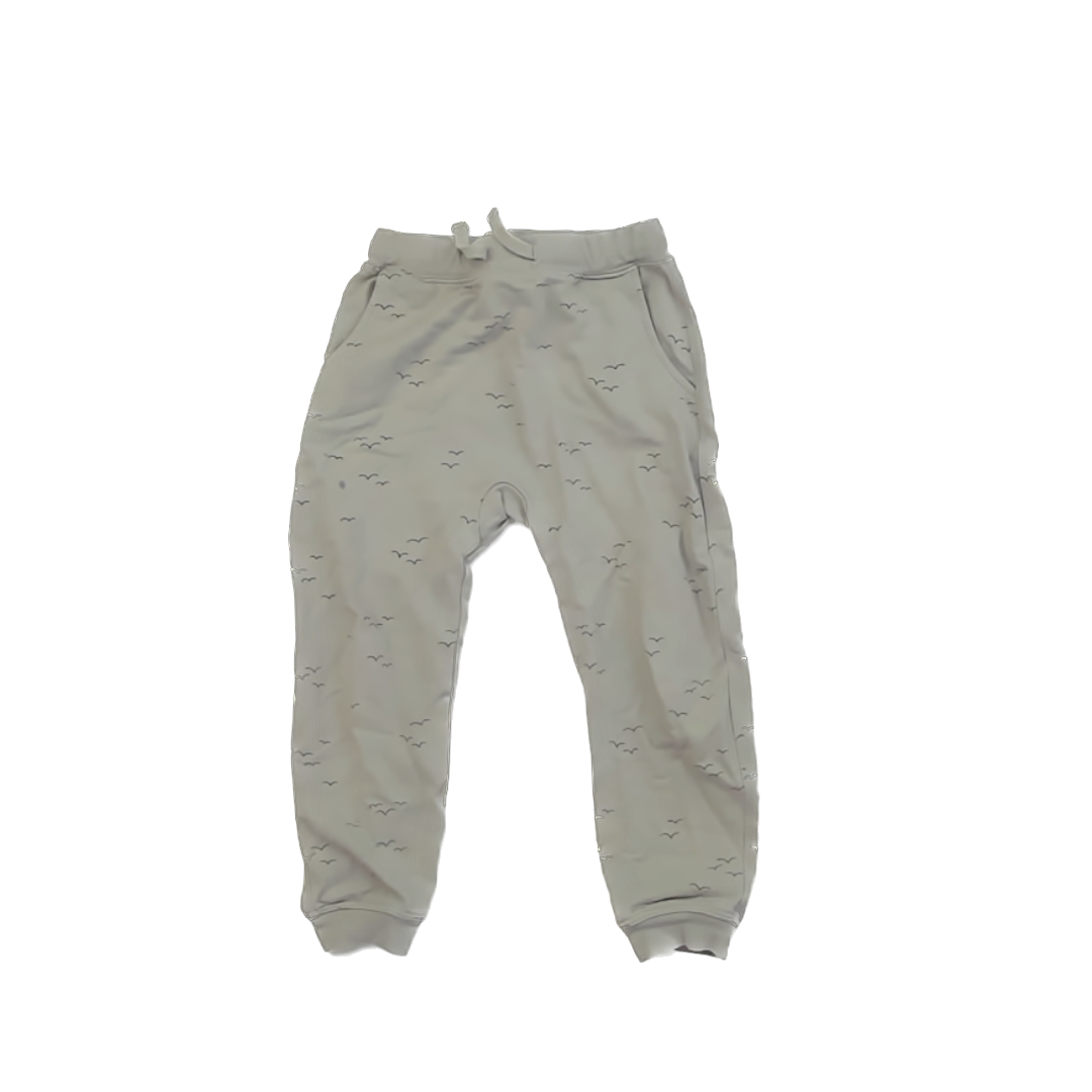 Rylee + Cru Boys Green | Birds Casual Pants Size: 4-5T Green | Birds