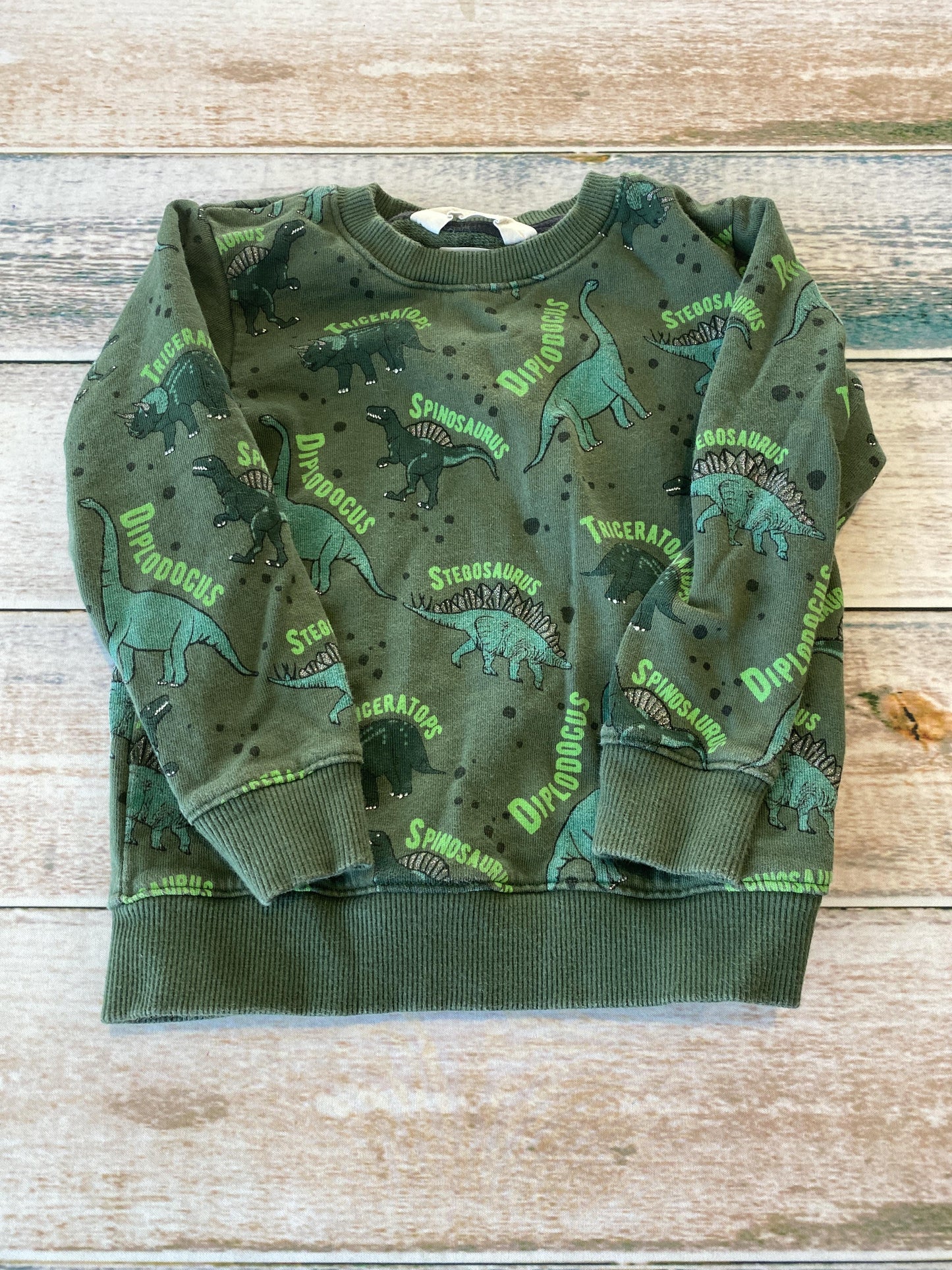H&M Boys green | Dinosaur Sweater Size: 2-4 Years green | Dinosaur