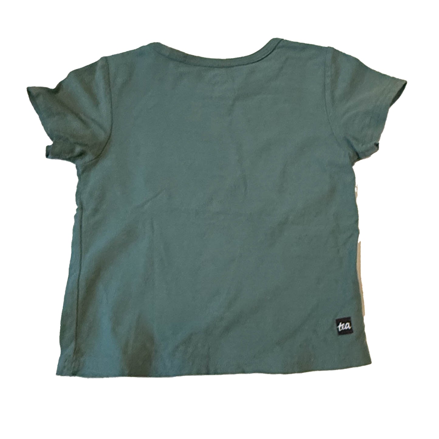 Tea Collection Boys Green Fish T-Shirt Size: 12-18 Months Green Fish