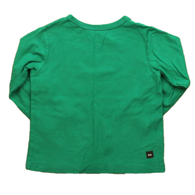 Tea Boys Green Fox Long Sleeve T-Shirt Size: 12-18 Months Green Fox