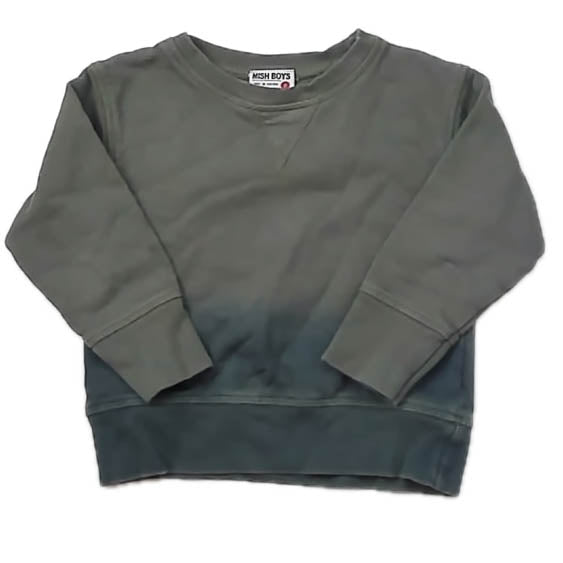 Mish Boys Boys Green Ombre Long Sleeve Shirt Size: 2T Green Ombre