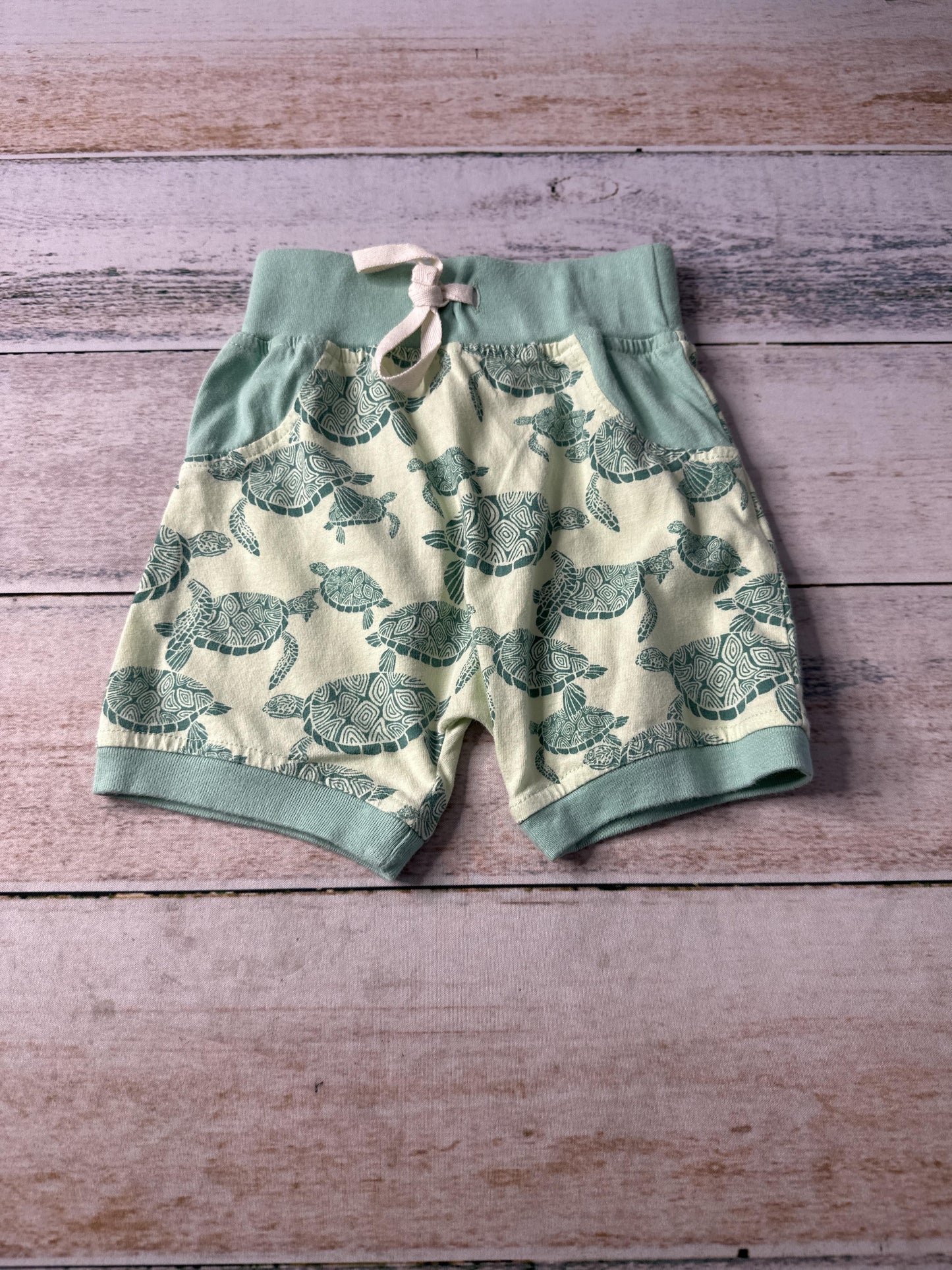 Cat & Dogma Boys green | Turtles Shorts Size: 12-18 months green | Turtles