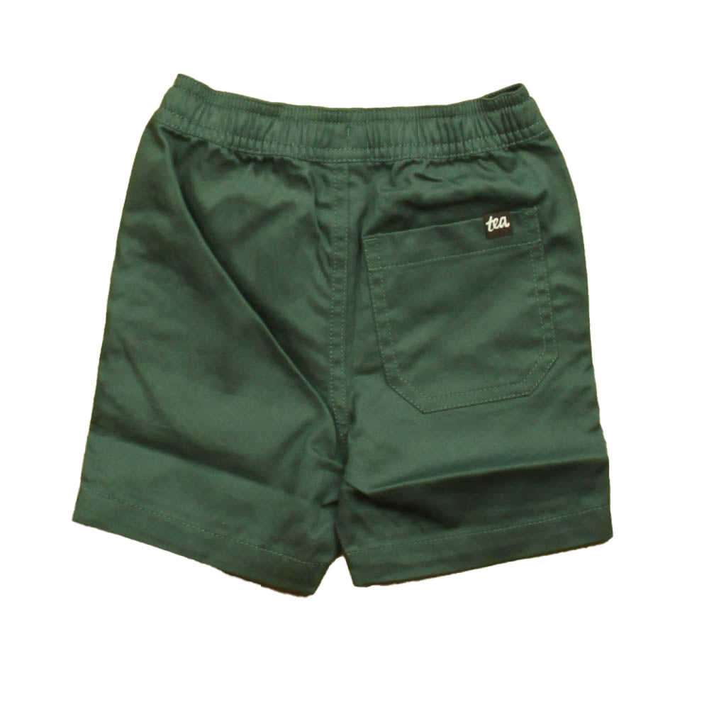Tea Boys Green Shorts Size: 2T Green