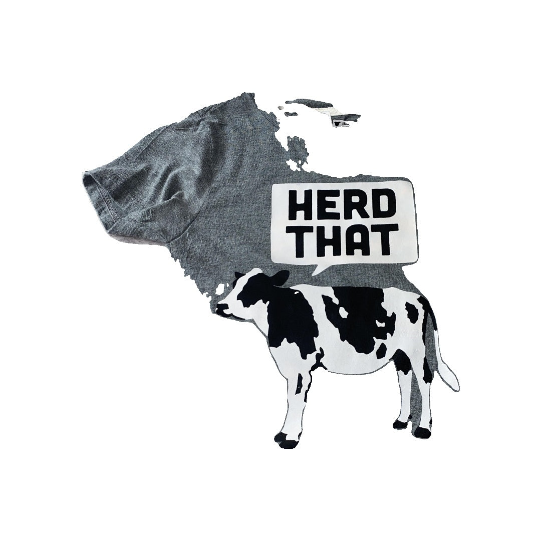 Air Waves Boys Grey | animals | Graphic T-Shirt Size: 3T Grey | animals | Graphic