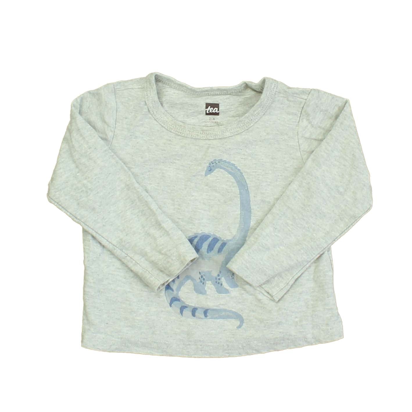 Tea Boys Grey | Blue | Dinosaur Long Sleeve T-Shirt Size: 3-6 Months Grey | Blue | Dinosaur