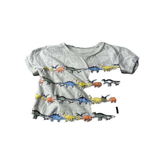 American Hawk Unisex Grey | Dinosaur T-Shirt Size: 2T Grey | Dinosaur